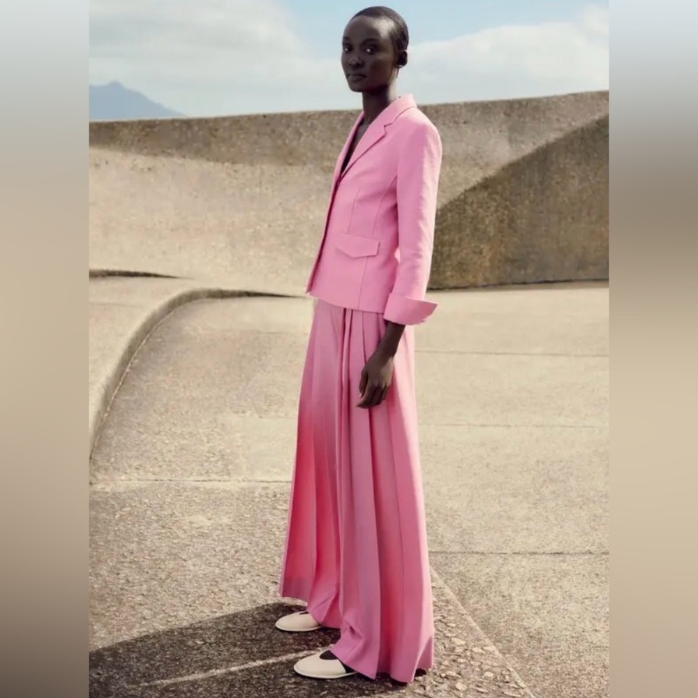 ME+EM 2 Pleated Ultra Wide Leg Pant Perfect Pink Tailored Trouser Dressy Flowy
